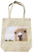 Picture of Tote Bag LAMA